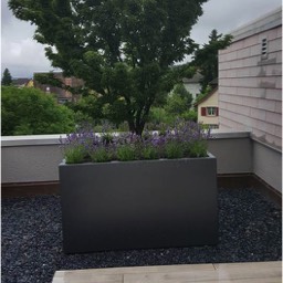 Bepflanzter Trog Effretikon - Maliqi Gartenbau
