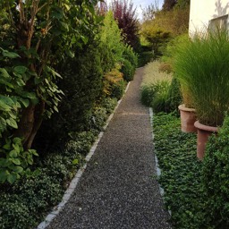 Gepflegter Weg Zürich - Gartenbau Maliqi
