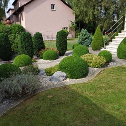 Gartenpflege und Formschnitt Buchs - Maliqi Gartenbau