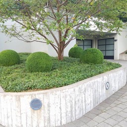 Gartenpflege Buchs - Maliqi Gartenbau