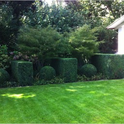 Gartenpflege Zürich - Maliqi Gartenbau
