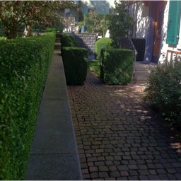 Gartenpflege Zürich - Maliqi Gartenbau