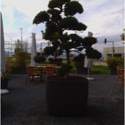 Sitzplatz und Gartenbonsai Zürich - Maliqi Gartenbau
