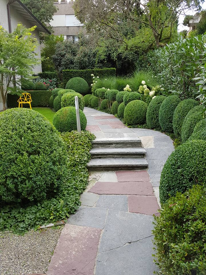 Ein gepflegter Weg - Maliqi Gartenbau